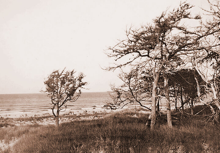 High Jinks on 7 Mile Island 1885 High Jinks on 7 Mile Island 1885