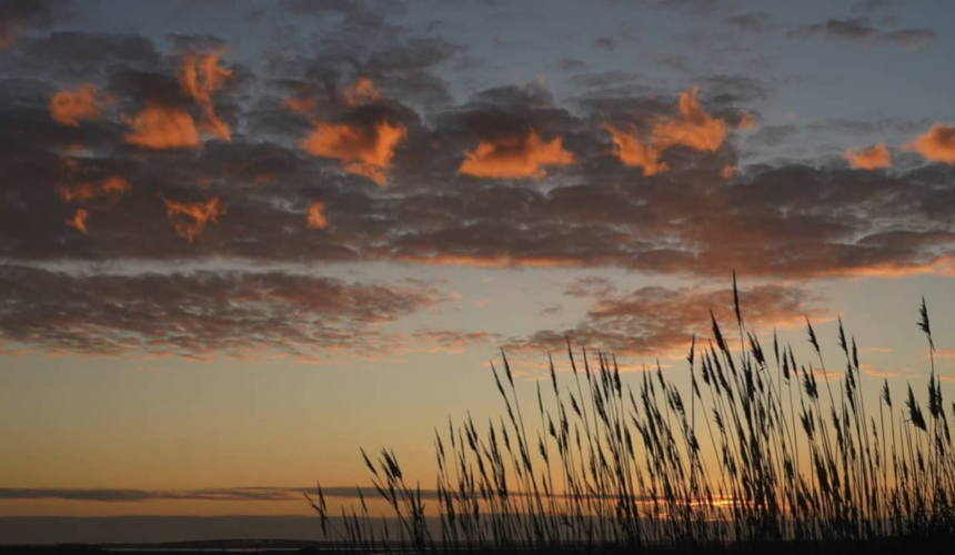 Tranquility Tuesday #9