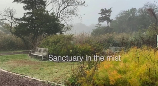Tranquility Tuesday #28 Sanctuary in the mist