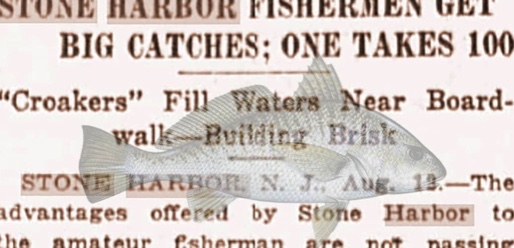 Stone Harbor Museum Minute #22 Fishing Tales