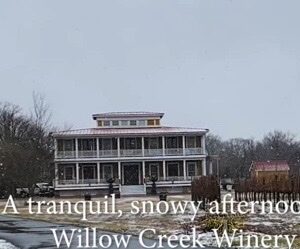 Tranquility Tuesday #49 Willow Creek