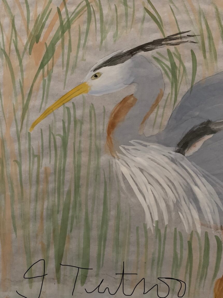 #6 – Great Blue Heron in the Wetlands – JoAnn Tutino – Adult