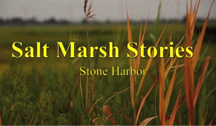 Stone Harbor Museum – DVD – Salt Marsh Stories