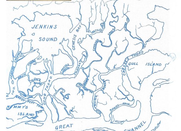 Picture of the Day No. 43 – Map of the Land and Water Immediately West of Stone Harbor