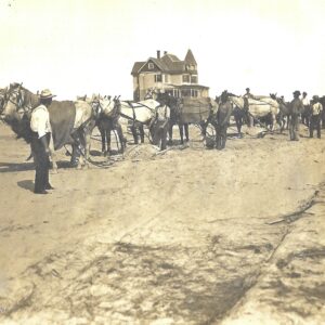 Harlan’s History: “HYDRANGEA” THE HOME OF REESE RISLEY